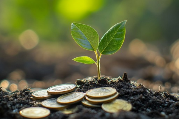 A plant sprouting with coins under, metaphor for NRG7 sustainable savings